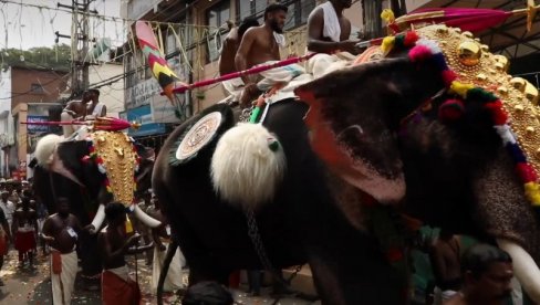 FESTIVAL U INDIJI: Ukrašeni slonovi pridružuju se hiljadama Hindusa (VIDEO)
